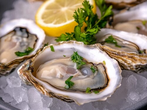 Oyster on half shell with parsley and ice, lemon wedge in blurred background