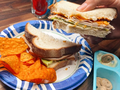 Hand holding sandwich with visible lettuce and cheese above plate with orange chips and glass of blue beverage