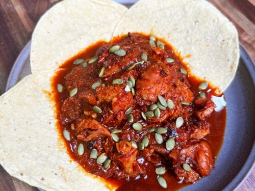 Shredded meat in red sauce topped with pumpkin seeds, nestled in white tortillas on a gray plate